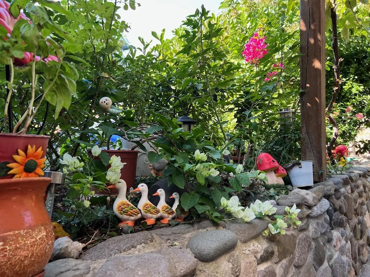 Family Hotel Emilia Sozopol
